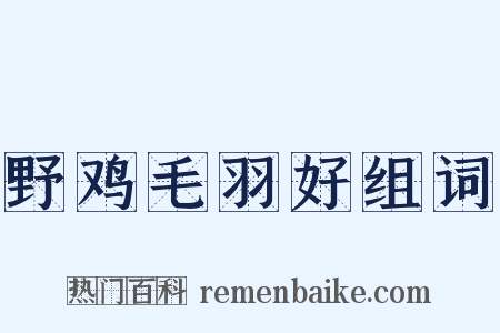 野鸡毛羽好组词是什么意思的图片